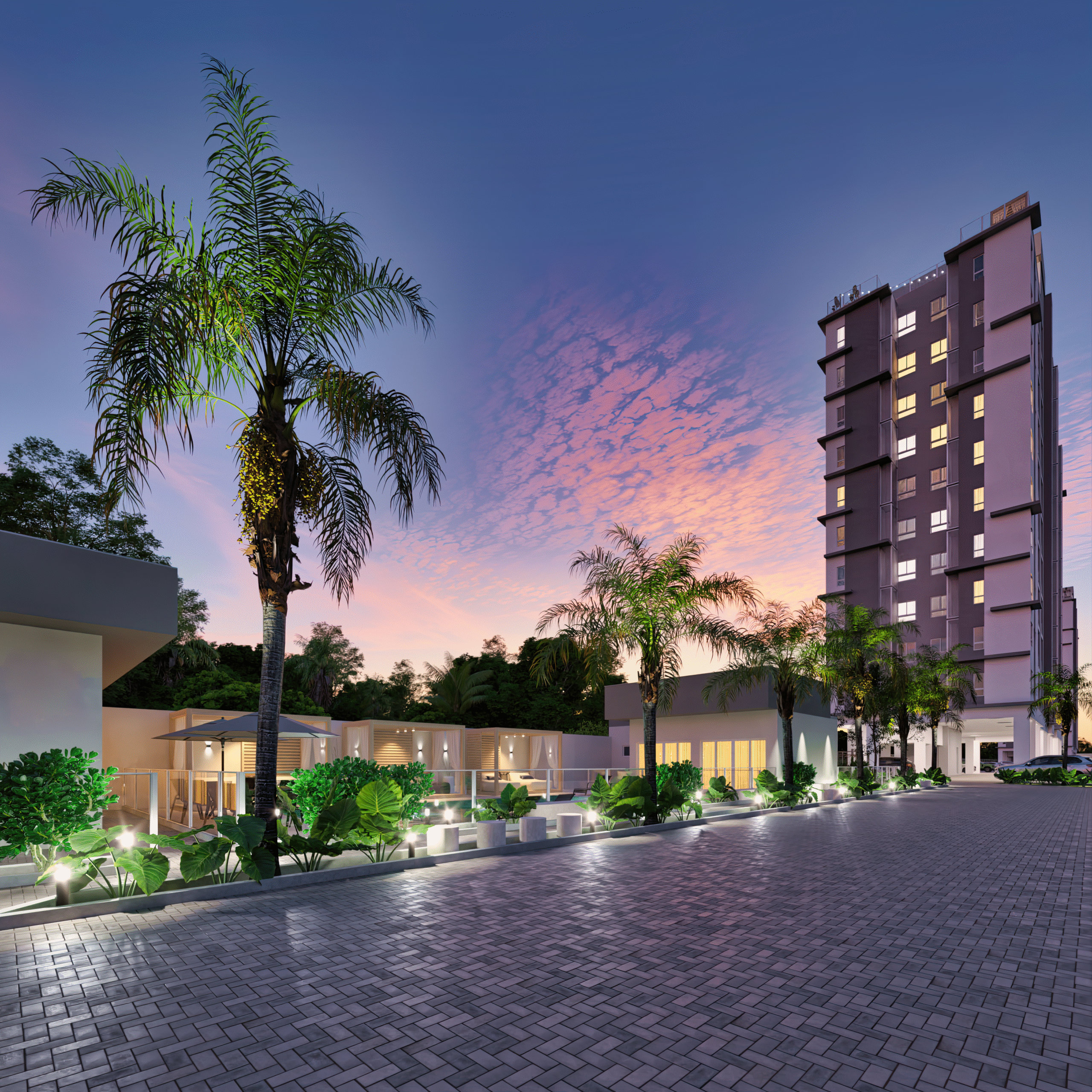 MS EASY IMP 003 ENTRADA